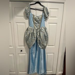 Cinderella adult costume